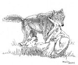 wolves-gbpic-38